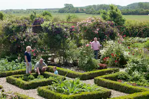 Minicamping & Kloostertuin Werendijke - Campingplatz Blumen-Garten