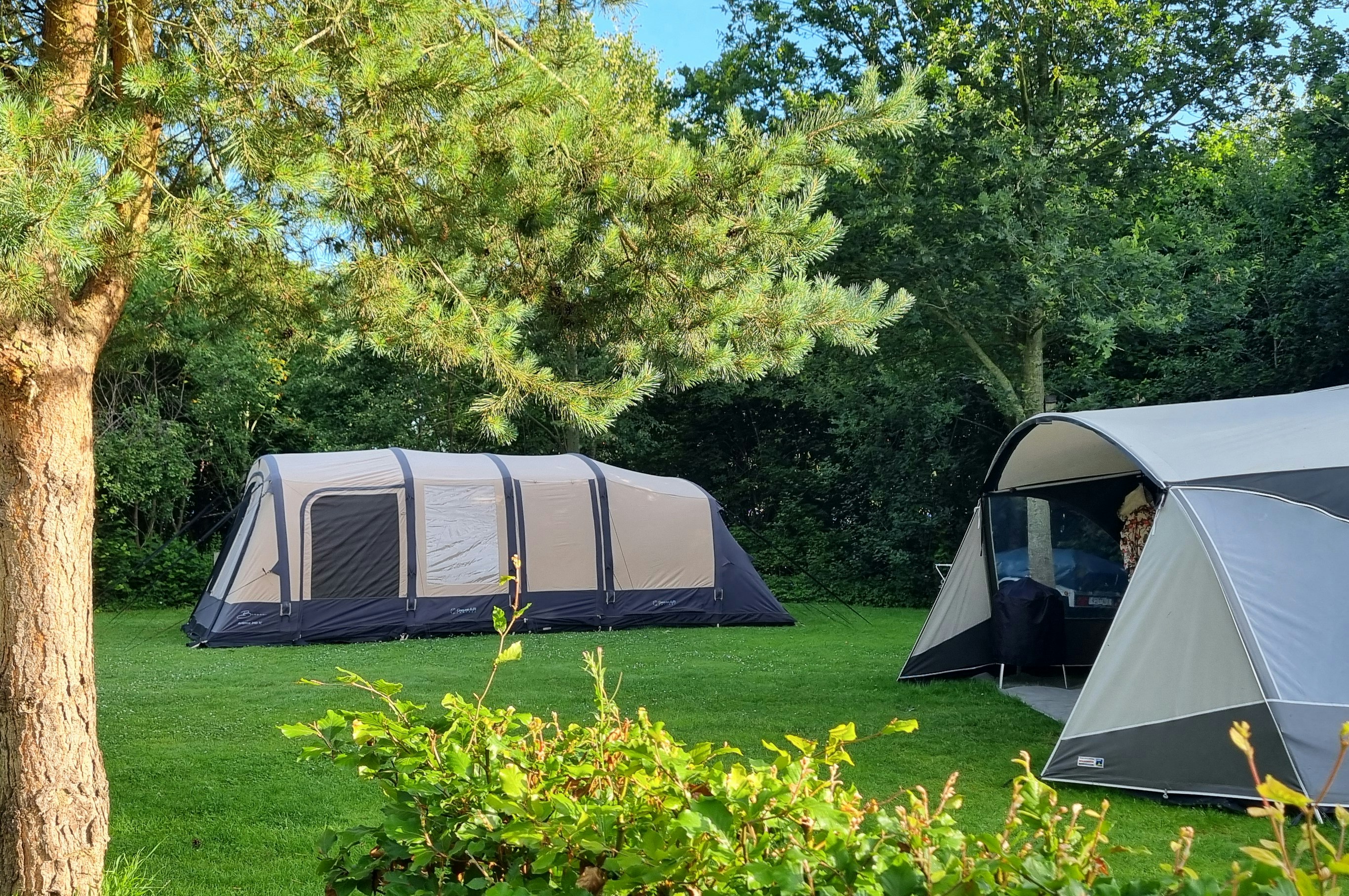 Mehrere Campingzelte auf grünem Rasen, im Hintergrund Bäume und ein weiteres Zelt mit offener Tür.