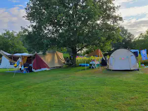 Mehrere Campingzelte auf einer grünen Wiese, mit Tischen und Stühlen zwischen den Zelten unter Bäumen.