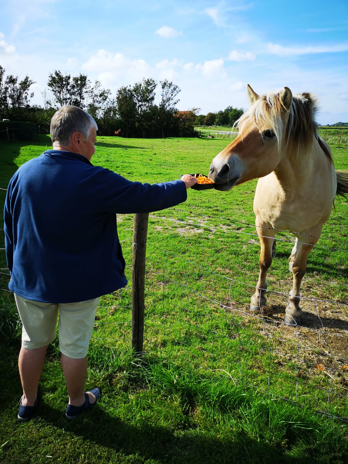 Minicamping Middenin
