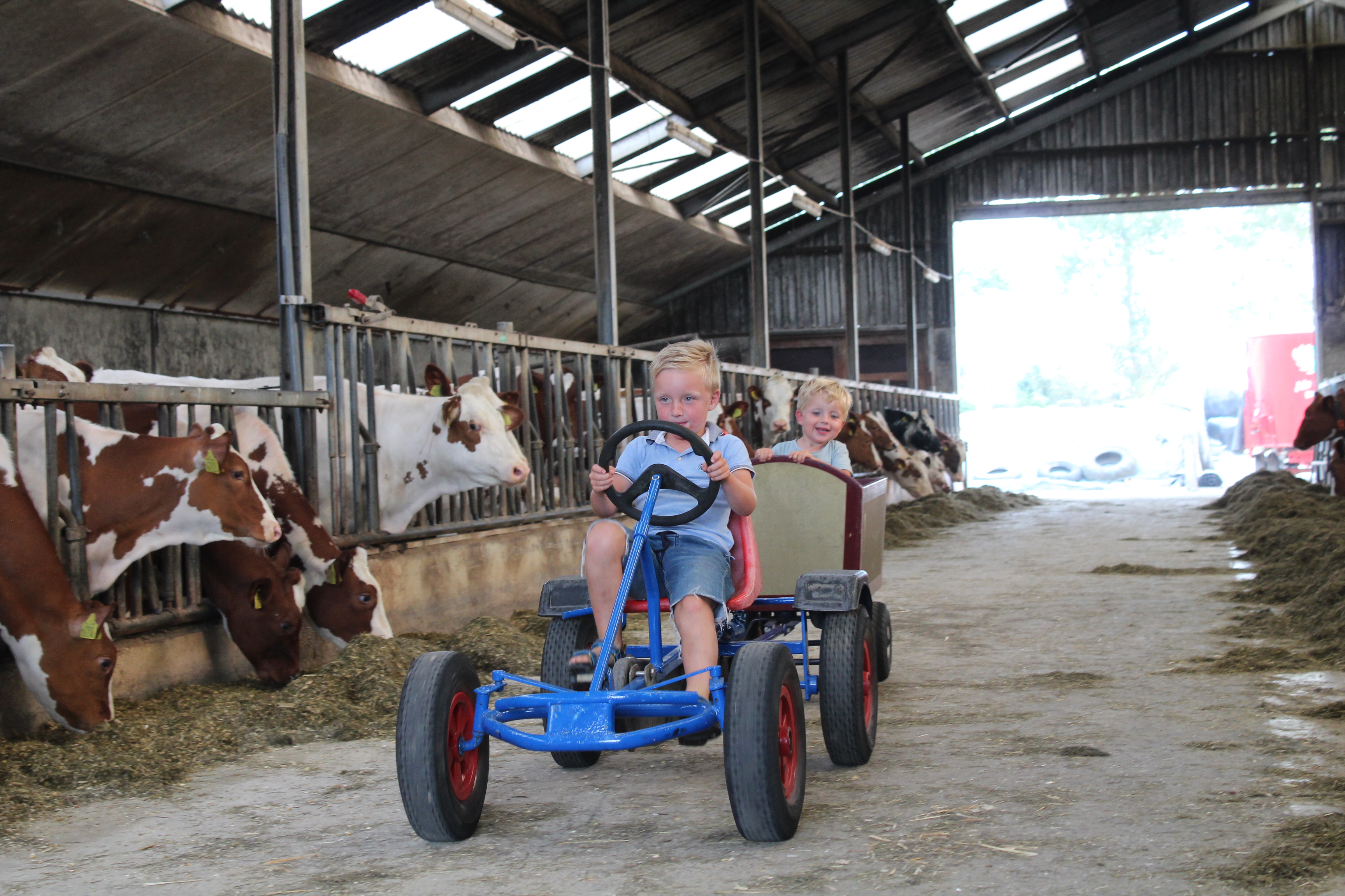 Minicamping Middenin