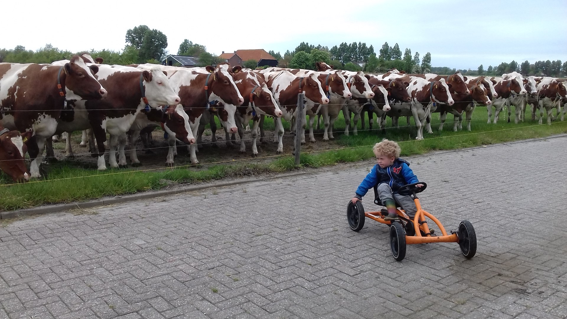 Minicamping Middenin