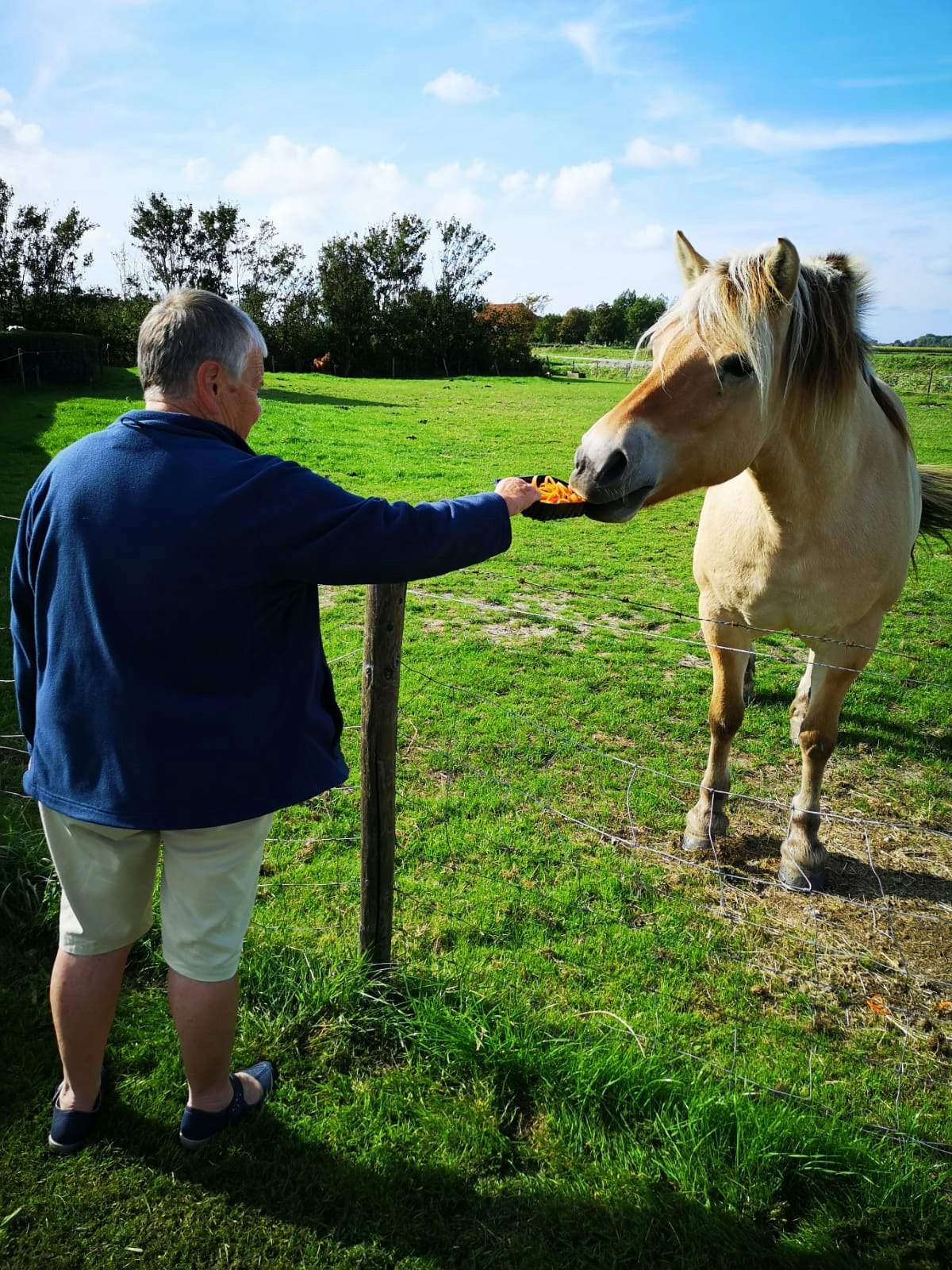 Minicamping Middenin