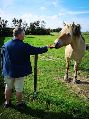 Minicamping Middenin