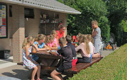 Minicamping Middenin