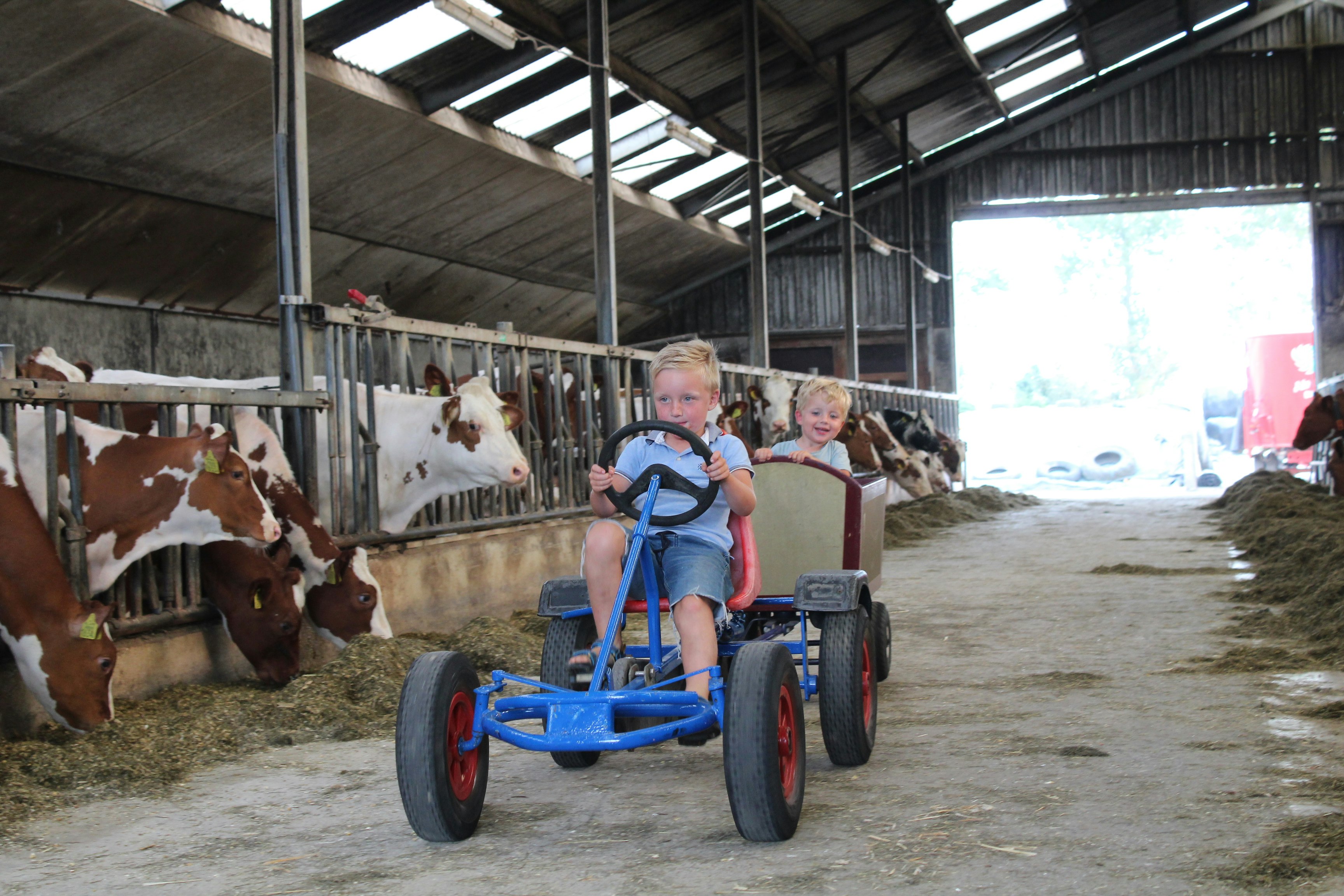 Minicamping Middenin