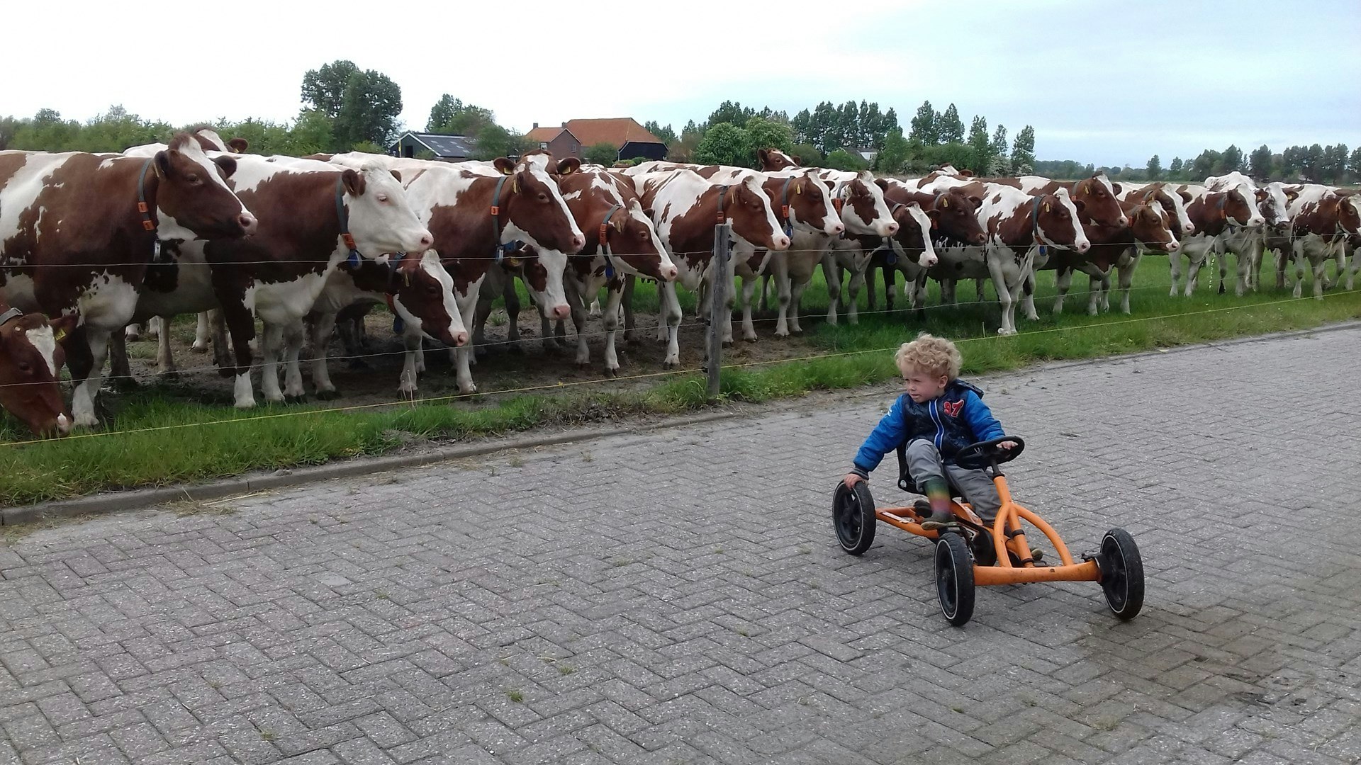 Minicamping Middenin