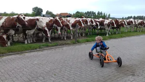 Minicamping Middenin
