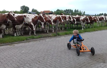 Minicamping Middenin