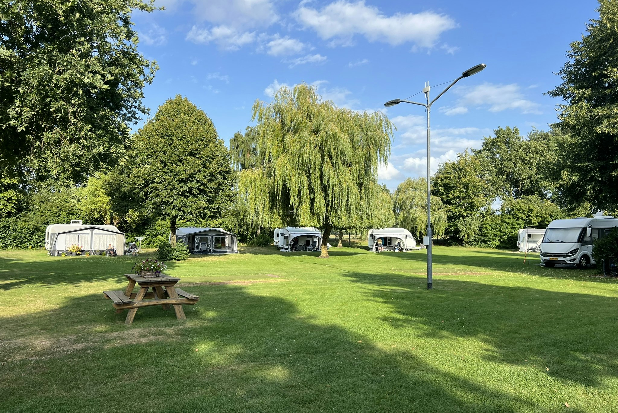 Minicamping Munnikenhof - Blick auf die Standplätze auf der Wiese