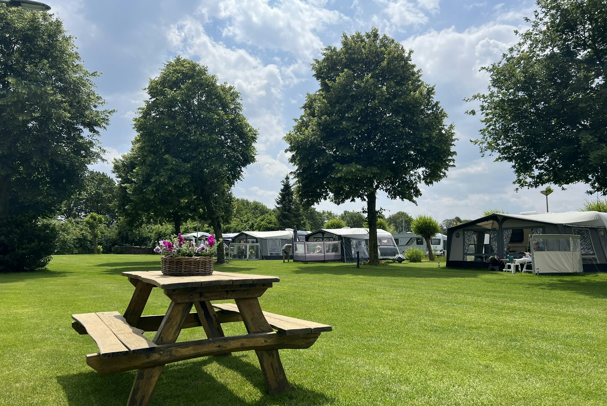 Minicamping Munnikenhof - Standplätze auf der Wiese auf dem Campingplatz