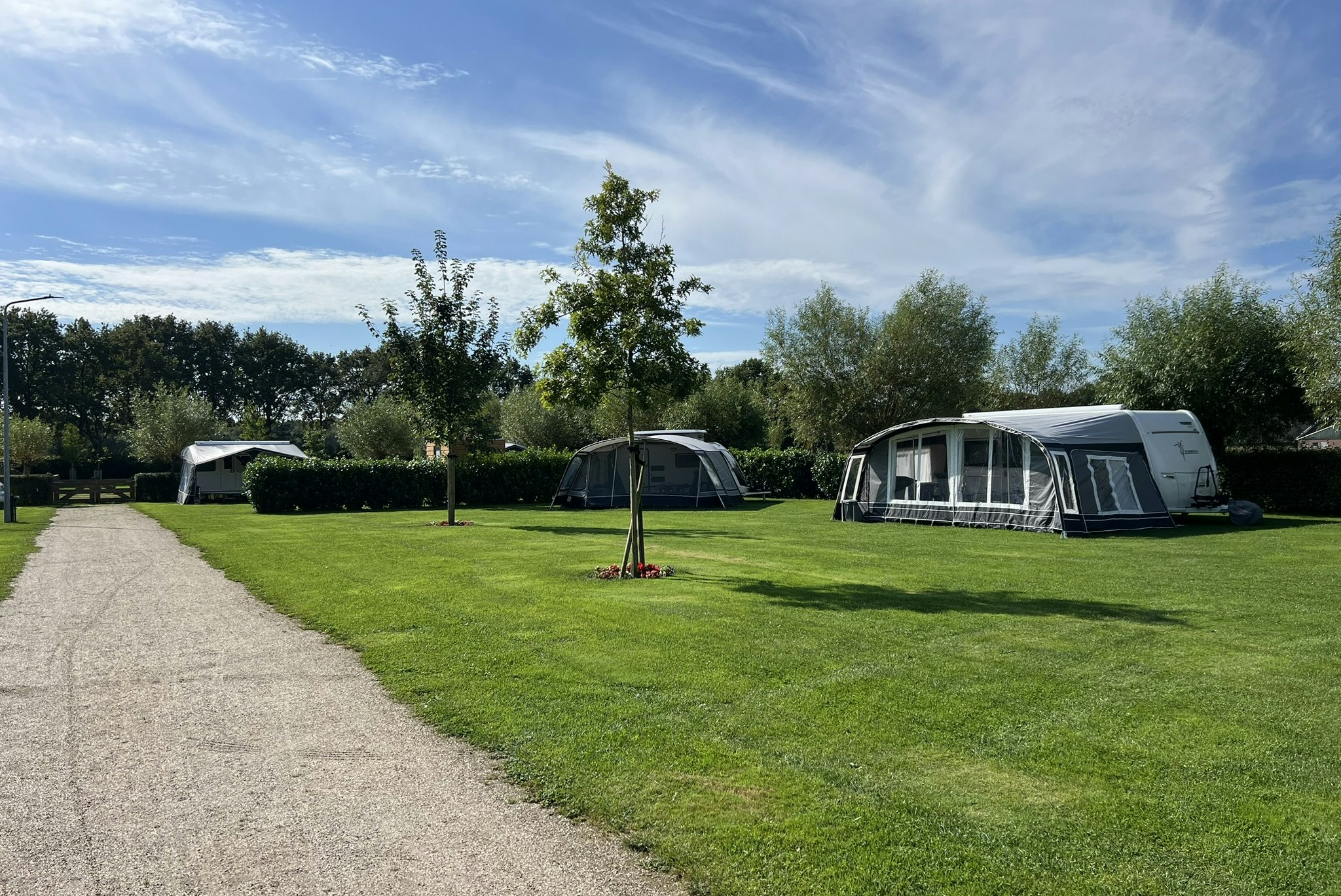 Minicamping Munnikenhof - Standplatzwiese auf dem Campingplatz