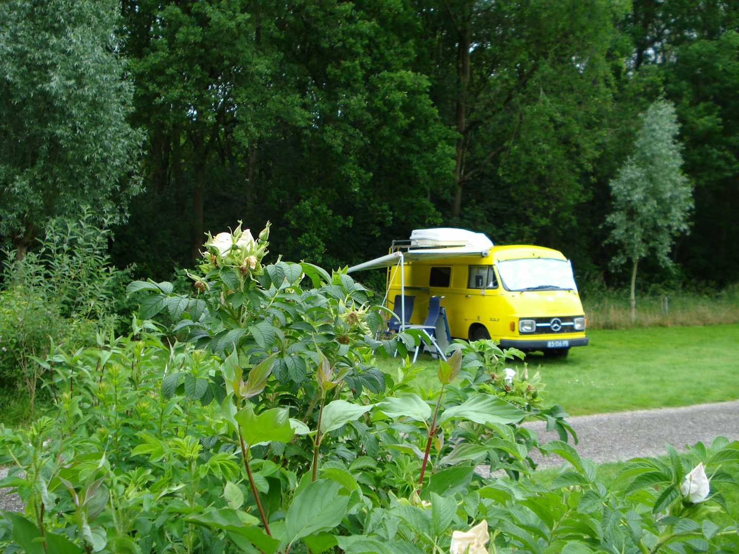 Minicamping Noorderzon