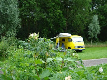 Minicamping Noorderzon
