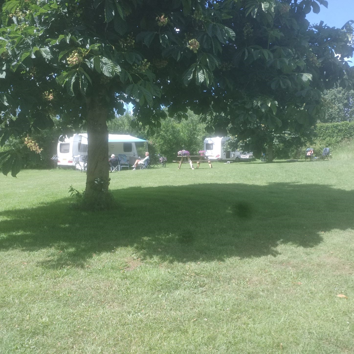 Minicamping Nummer 49