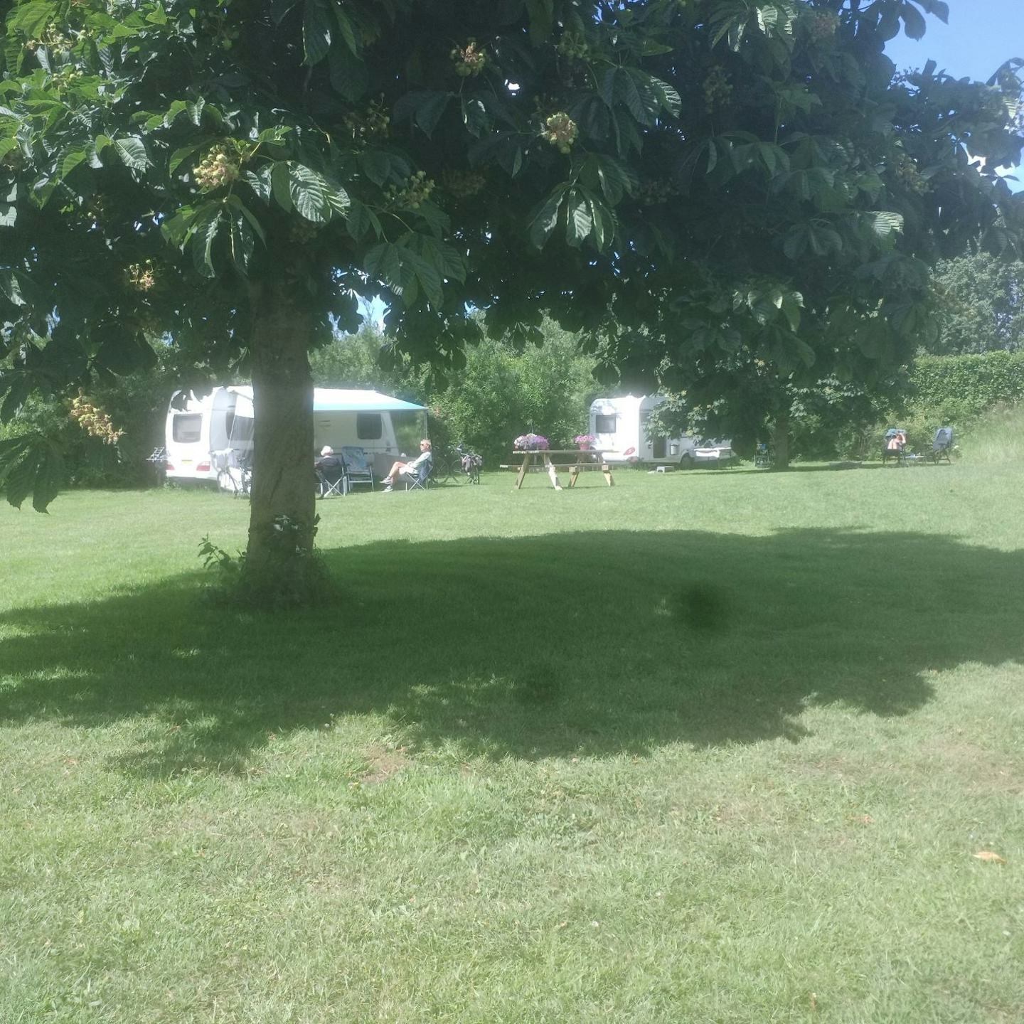 Minicamping Nummer 49