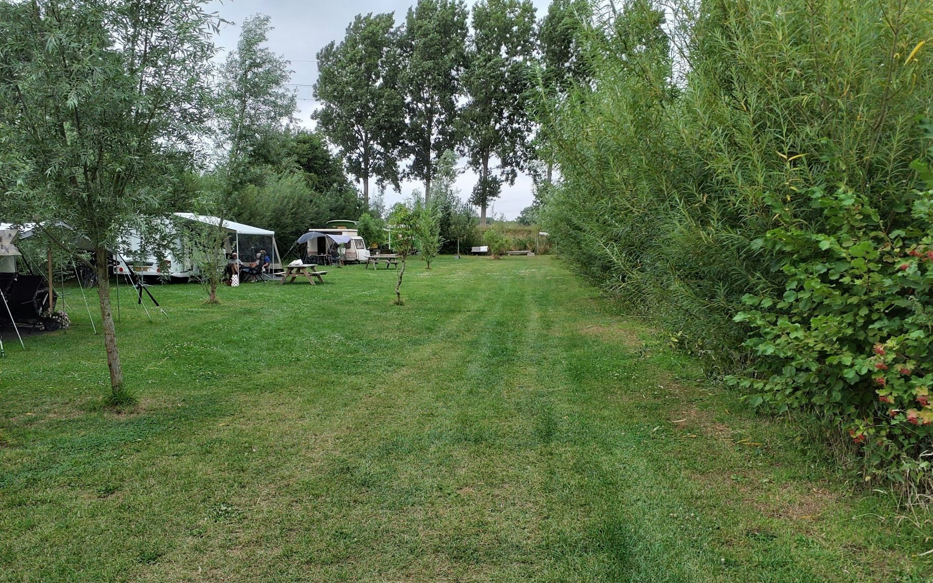 Minicamping Nummer 49