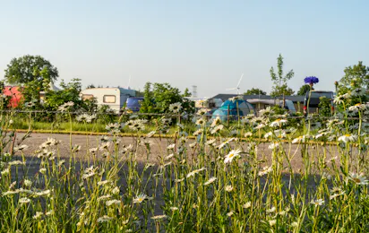 Minicamping Oisterwijk