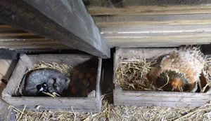 Minicamping Op den Boender