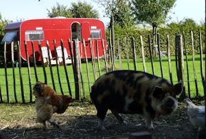 Minicamping Op den Boender