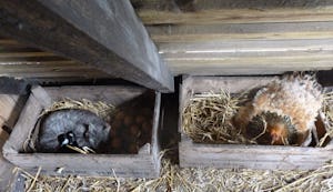 Minicamping Op den Boender