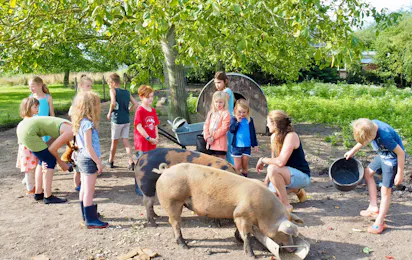 Minicamping Oranjepolder