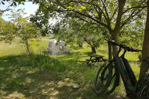 Fahrrad am Baum auf dem Campingplatz, im Hintergrund Zelt und Wiese mit Bäumen.