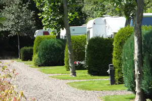 Camping De Groene Halte Minicamping Schonewille - Standplätze auf dem Campingplatz