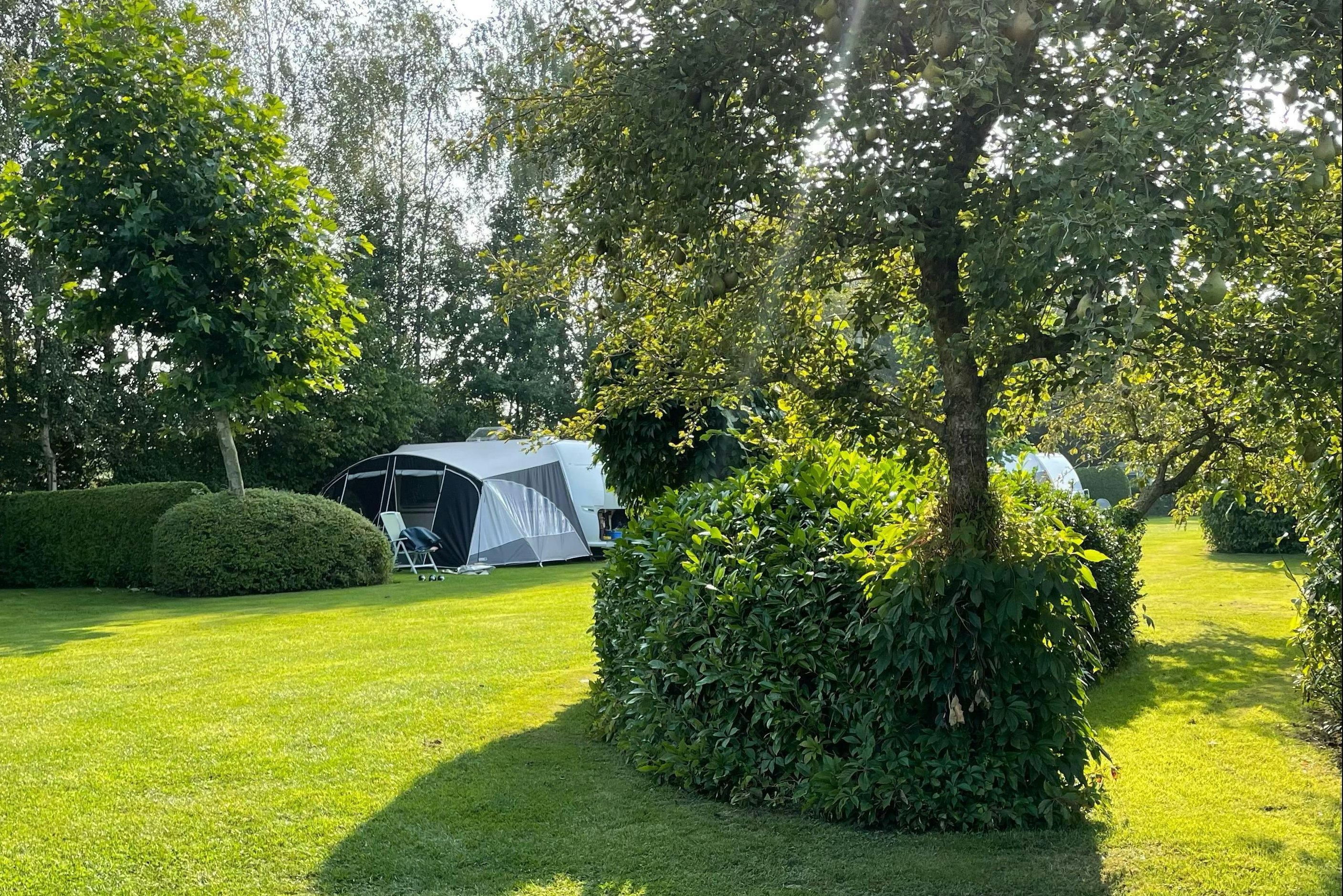 Camping De Groene Halte  Minicamping Schonewille - Standplatzwiese auf dem Campingplatz