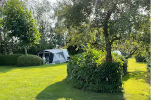 Camping De Groene Halte Minicamping Schonewille - Standplatzwiese auf dem Campingplatz