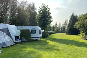 Camping De Groene Halte Minicamping Schonewille - Standplatzwiese auf dem Campingplatz