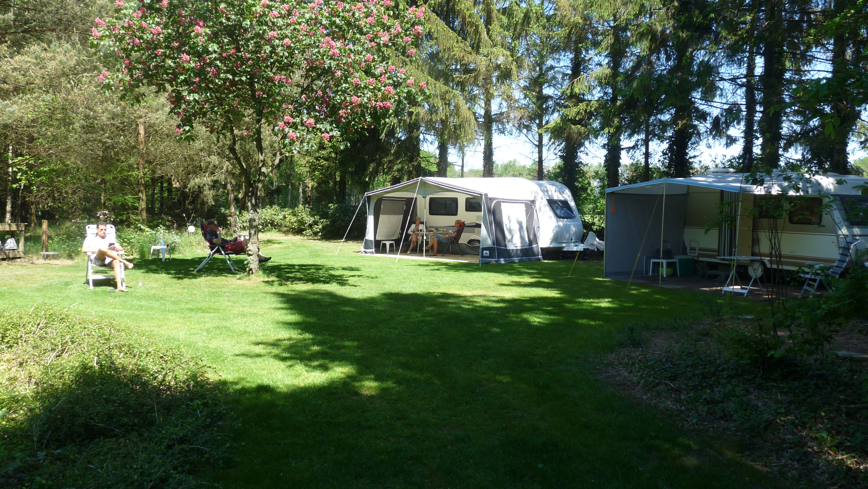 Minicamping Sleenerzand