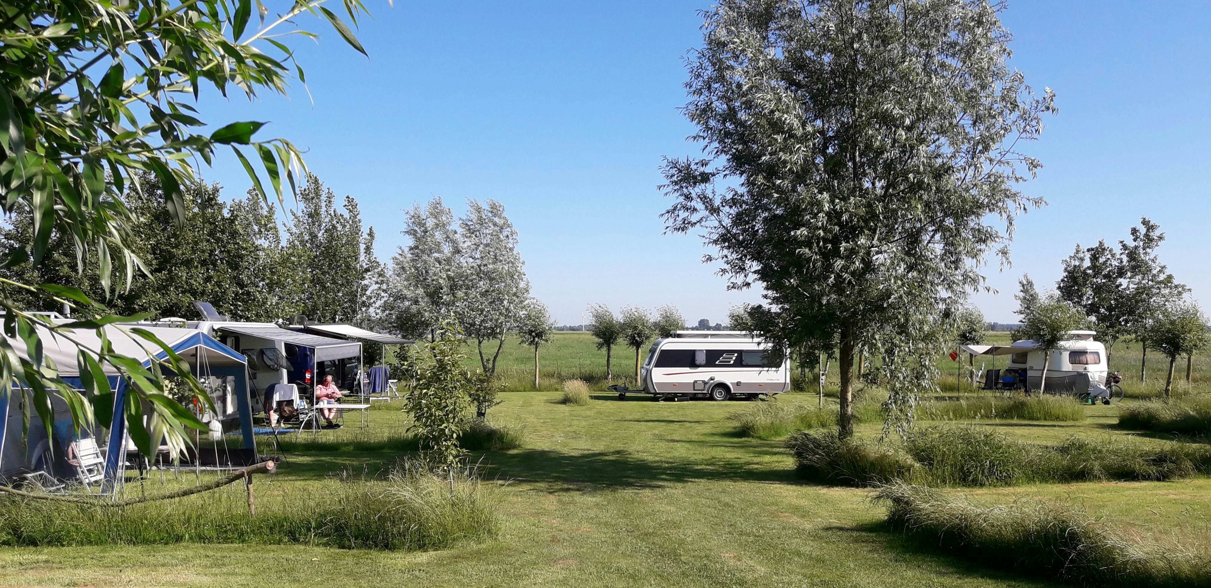 Zelt und Wohnwagen auf einem grünen Campingplatz, dazwischen Olivenbäume und ein Wohnmobil am Rand.