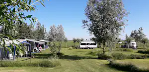 Zelt und Wohnwagen auf einem grünen Campingplatz, dazwischen Olivenbäume und ein Wohnmobil am Rand.