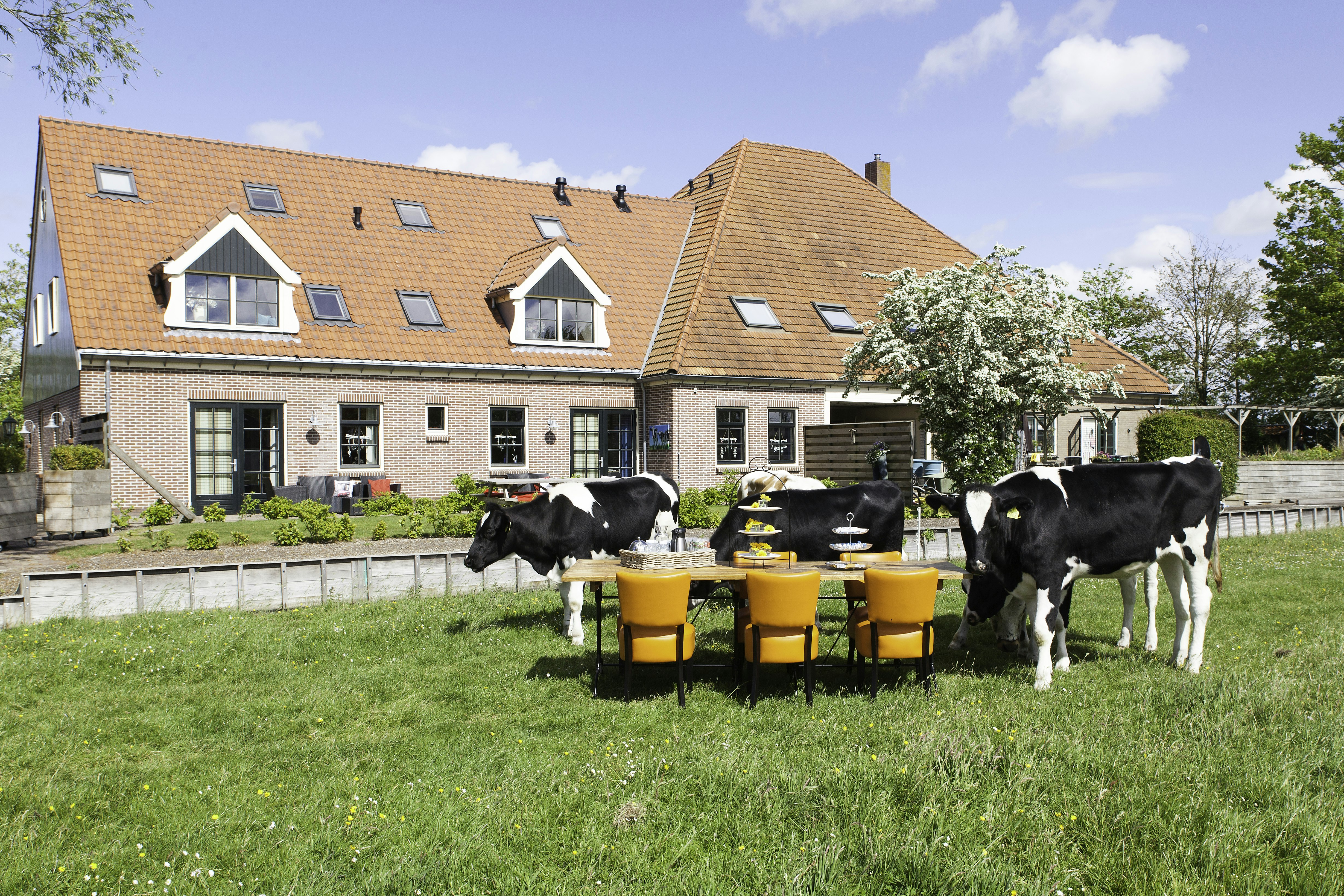 Charme Camping `t Bullekroffie