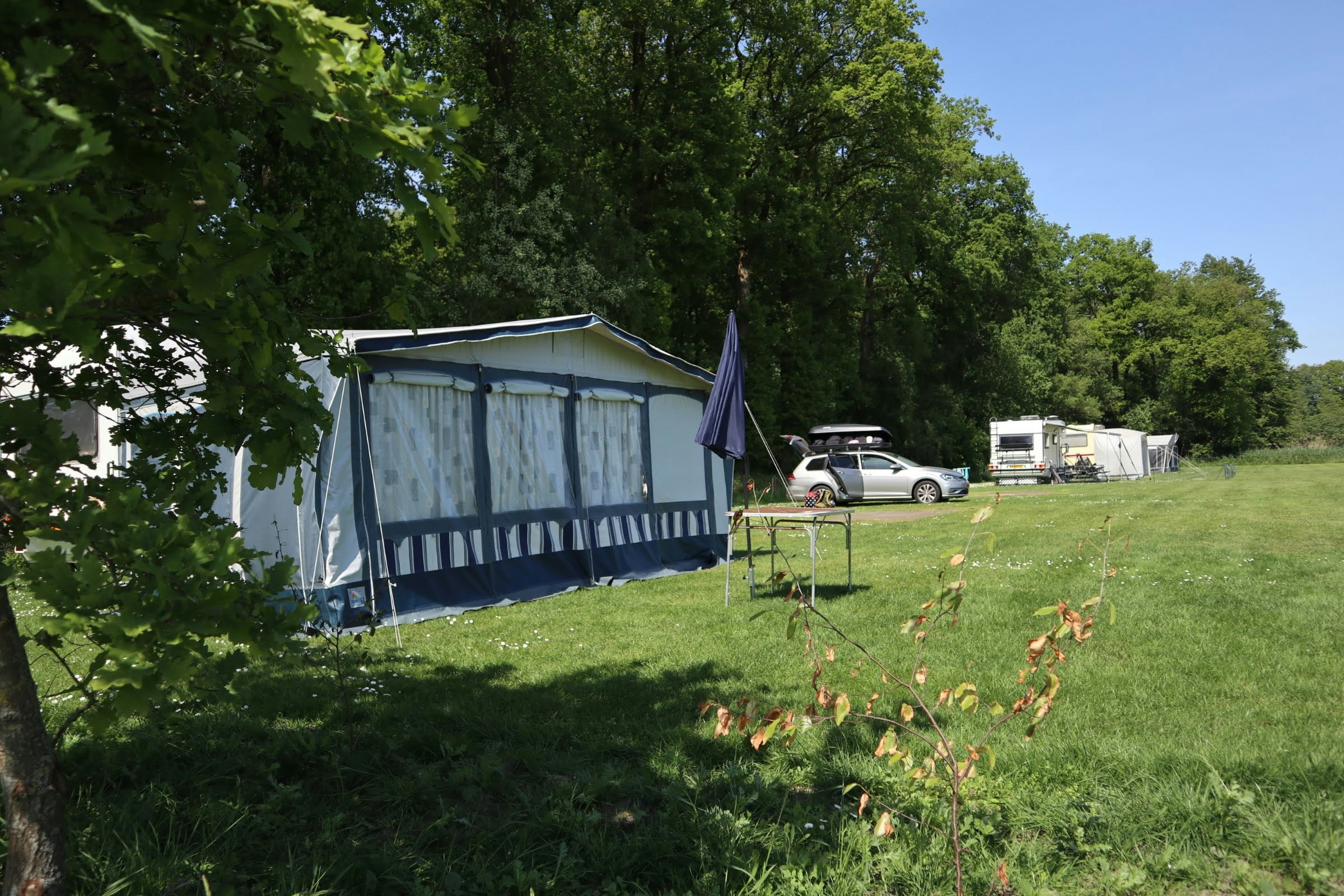 Campingzelt auf einer grünen Wiese, daneben ein Auto und weitere Wohnwagen unter hohen Bäumen.