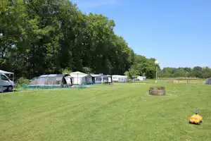 Zeltreihe auf einem grünen Campingplatz mit Wohnwagen, Markisen und Picknicktisch unter Bäumen.