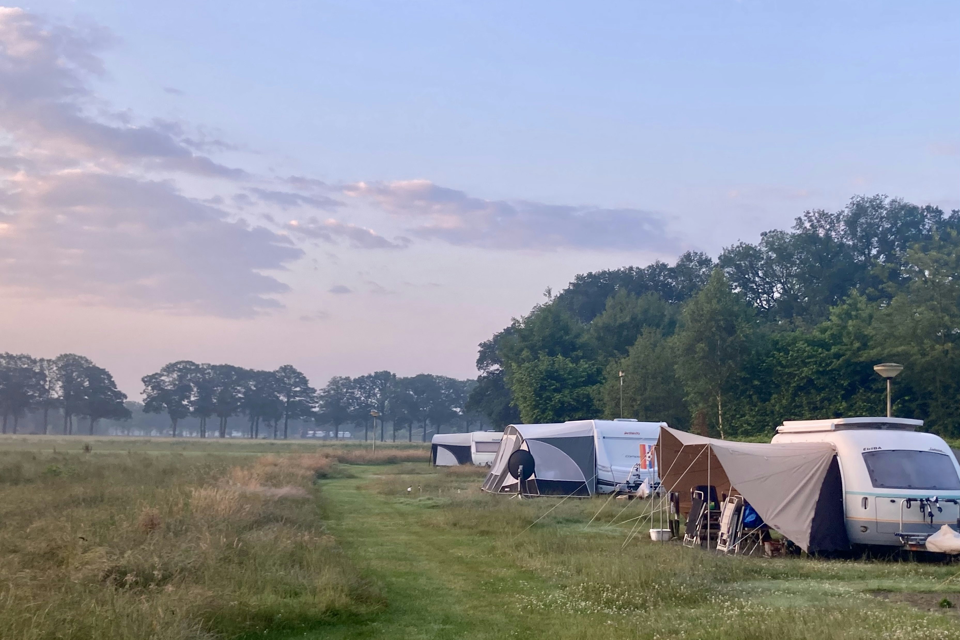 Minicamping 't Gagel - Standplatzwiese auf dem Campingplatz