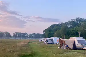 Minicamping 't Gagel - Standplatzwiese auf dem Campingplatz