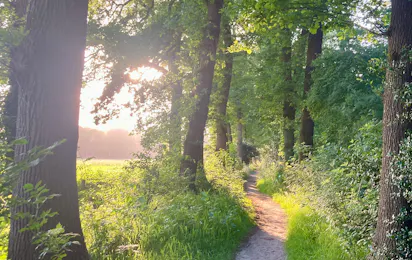 Regenerative Boerderij & Camping ’t Gagel