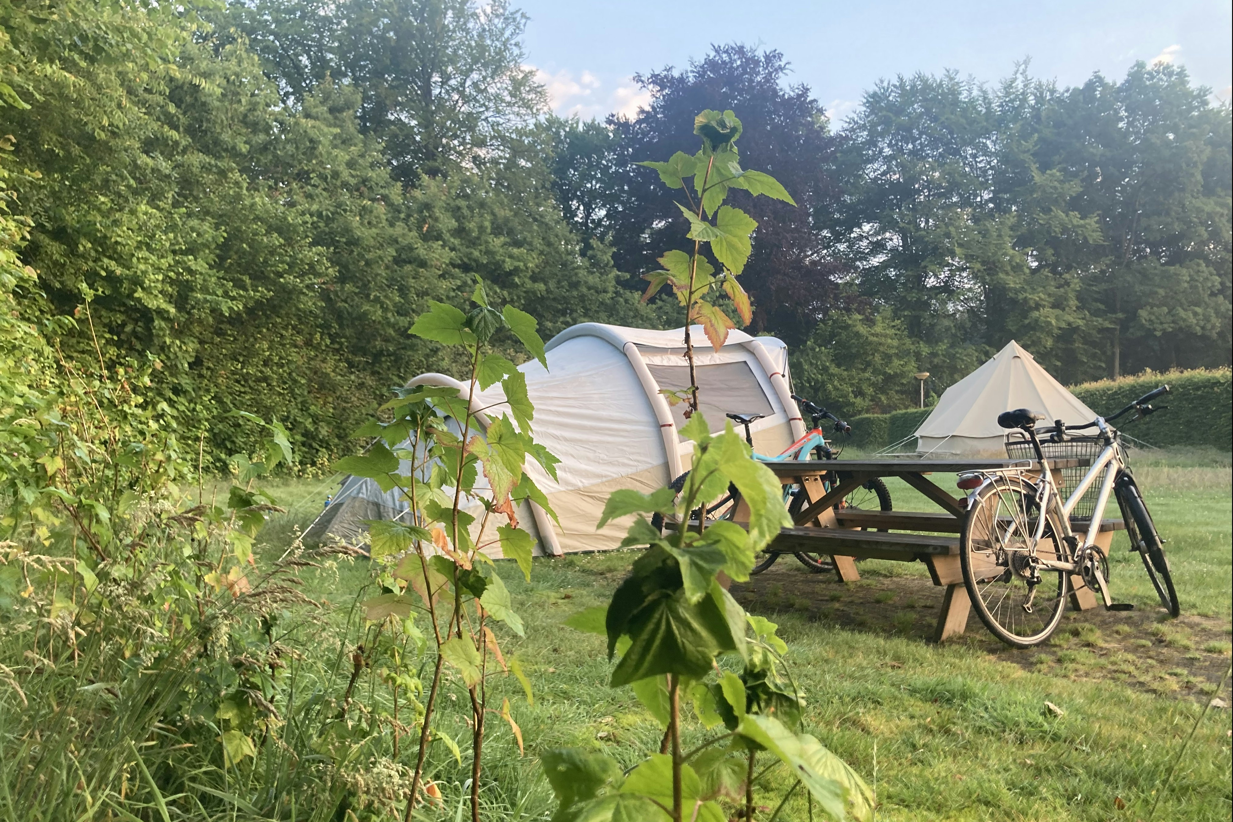 Minicamping 't Gagel - Zeltplatz im Grünen auf dem Campingplatz