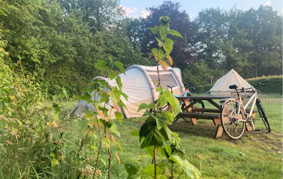 Regenerative Boerderij & Camping ’t Gagel
