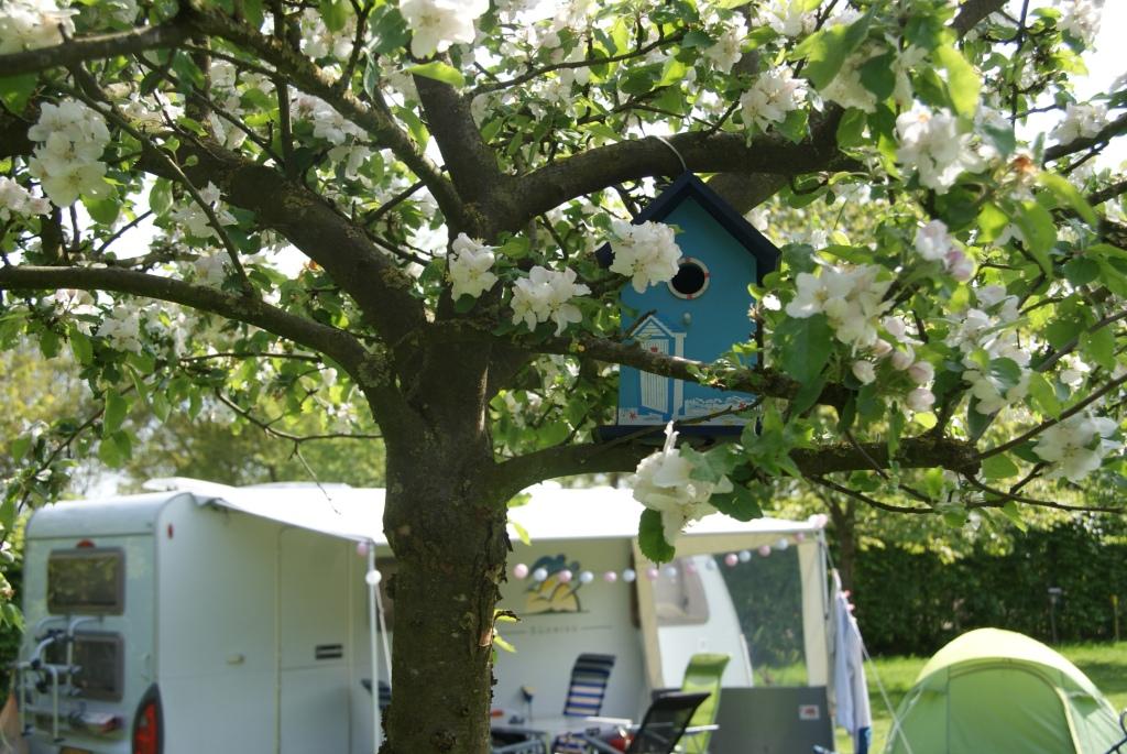 Minicamping 't Haasje