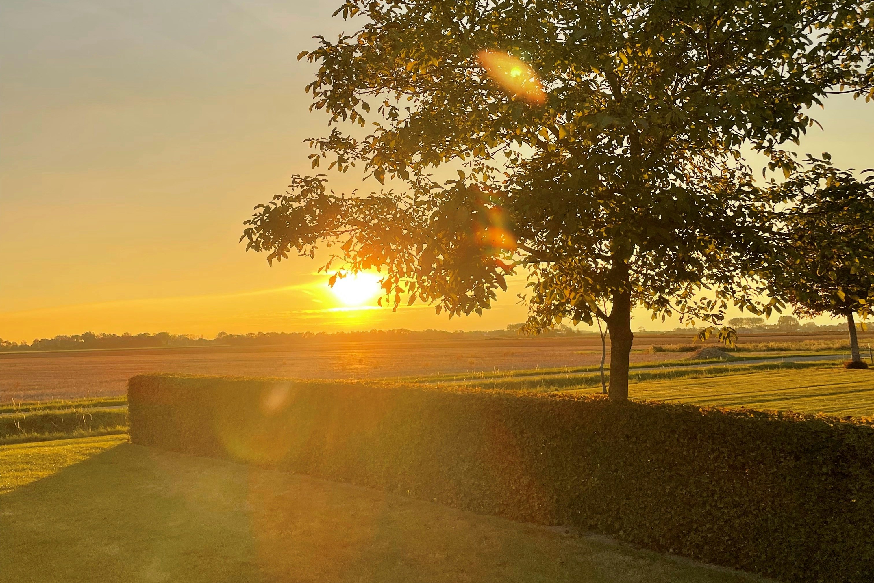 Minicamping 't Hof Welkom - Sonnenuntergang über dem Campingplatz