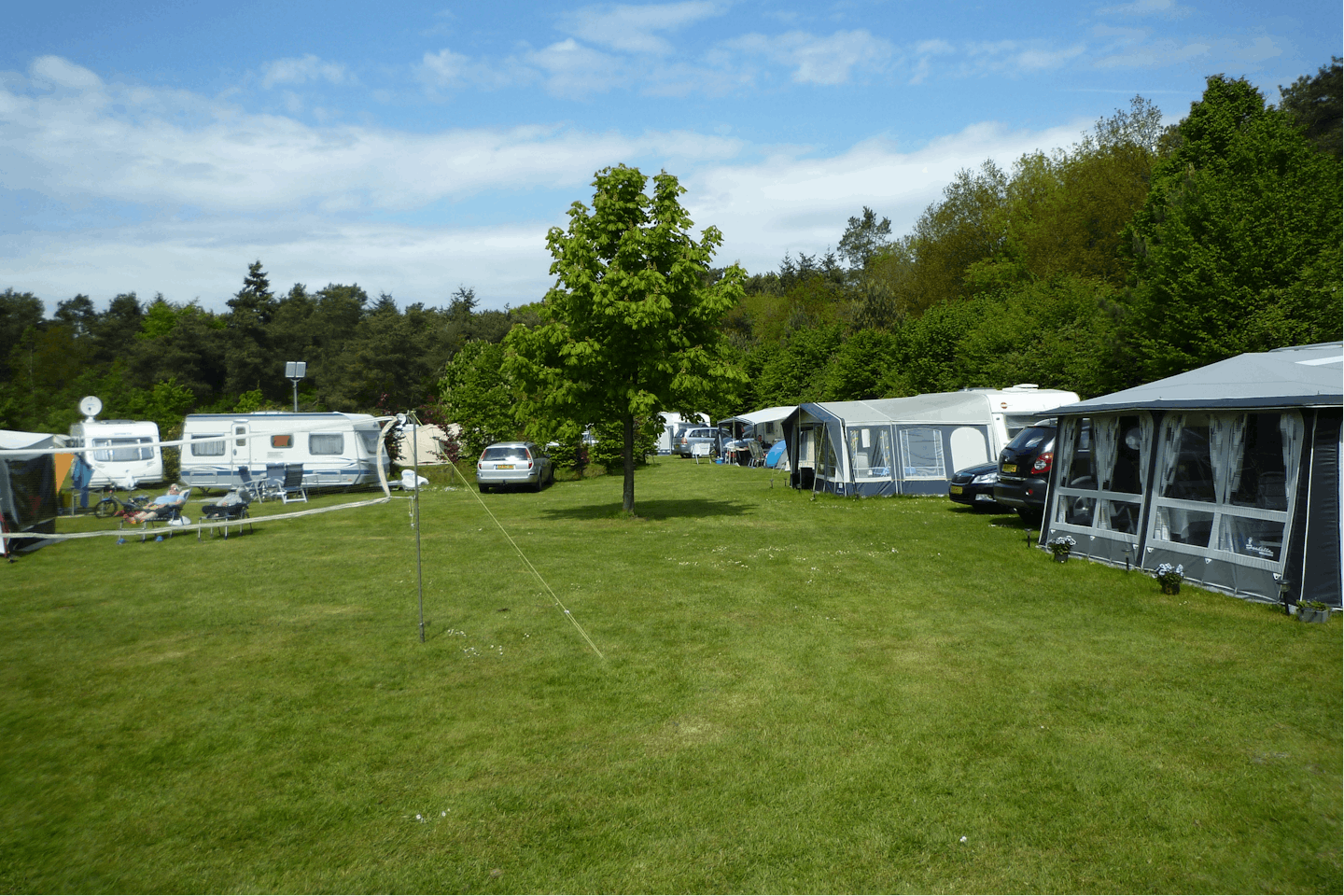 Minicamping 't Zevenbosch - Standplatzwiese auf dem Campingplatz