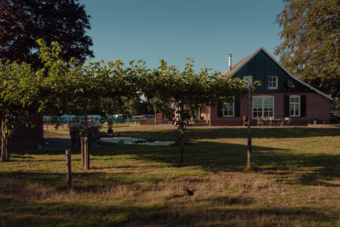 Minicamping 't Zotte Schaap - Blick auf den Campingplatz
