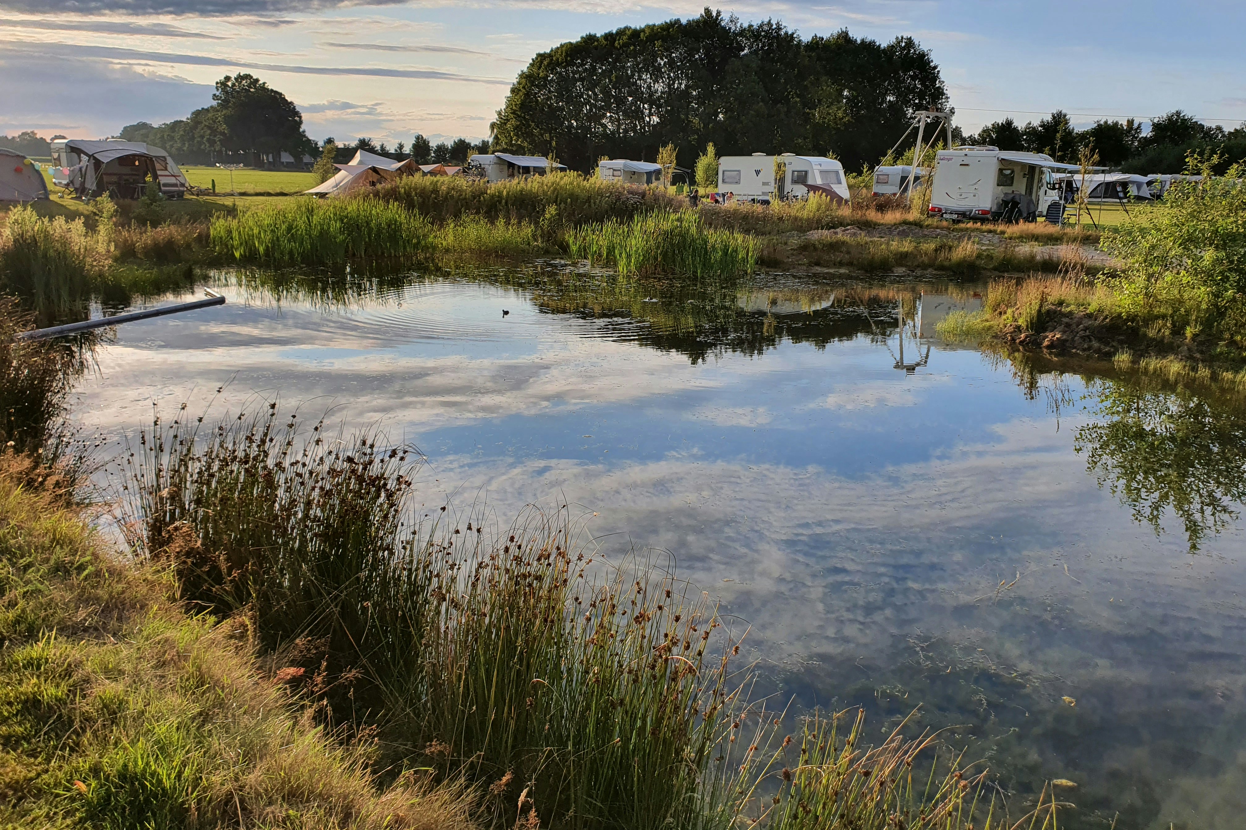 Minicamping & Theeschenkerij 't Oegenbos - Blick auf die Standplätze am Teich