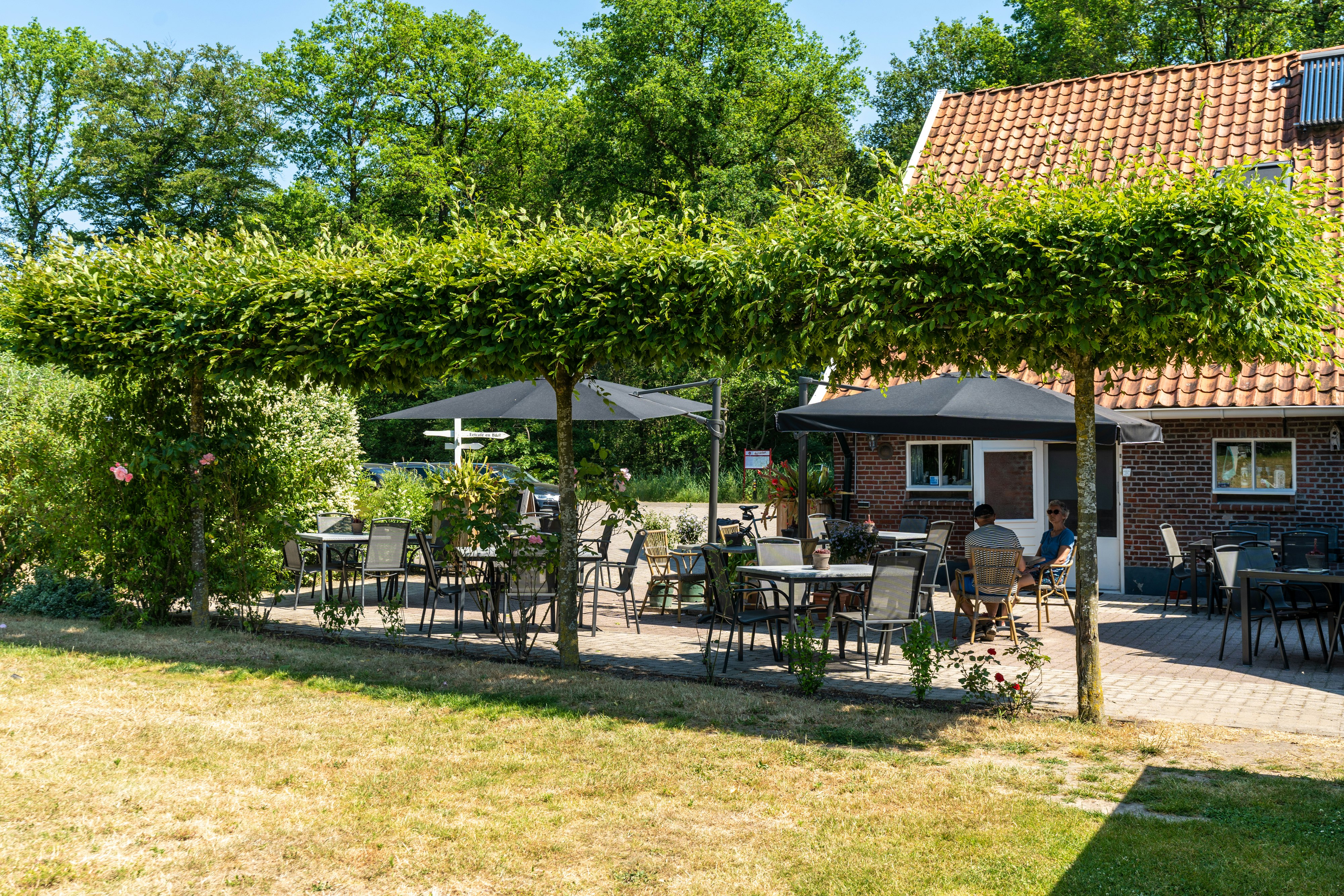 Mini Camping en B&B Veenemaat - Blick auf die Terrasse des Restaurants -De Gelagkamer-