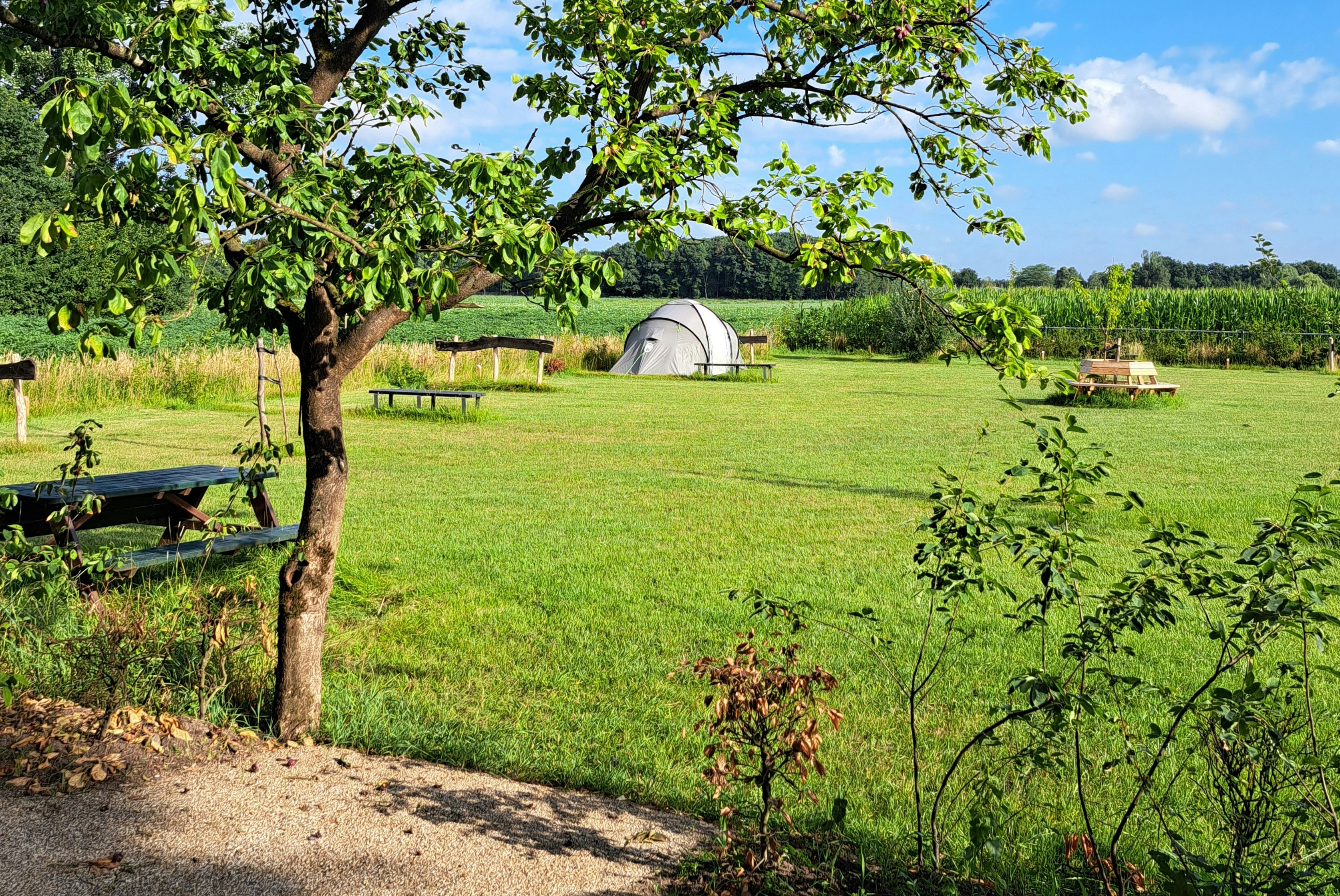Minicamping Vin'k fijn - Standplätze im Grünen auf dem Campingplatz
