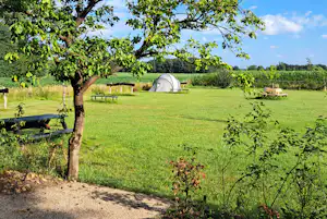 Zelt auf einer grünen Campingwiese, im Vordergrund ein Baum, daneben Holzbank und Tisch am Stellplatz.